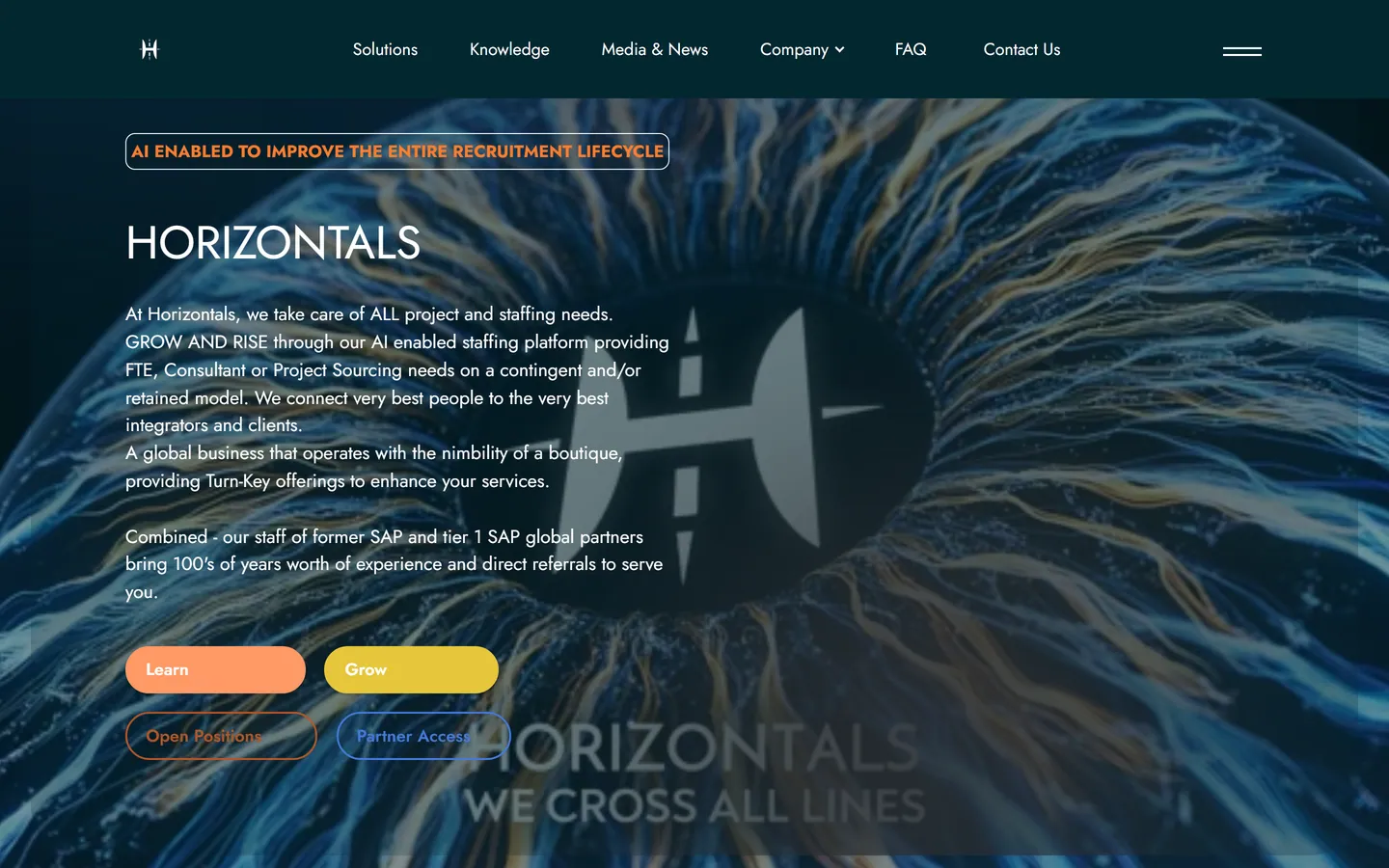 Horizontals website, first screen