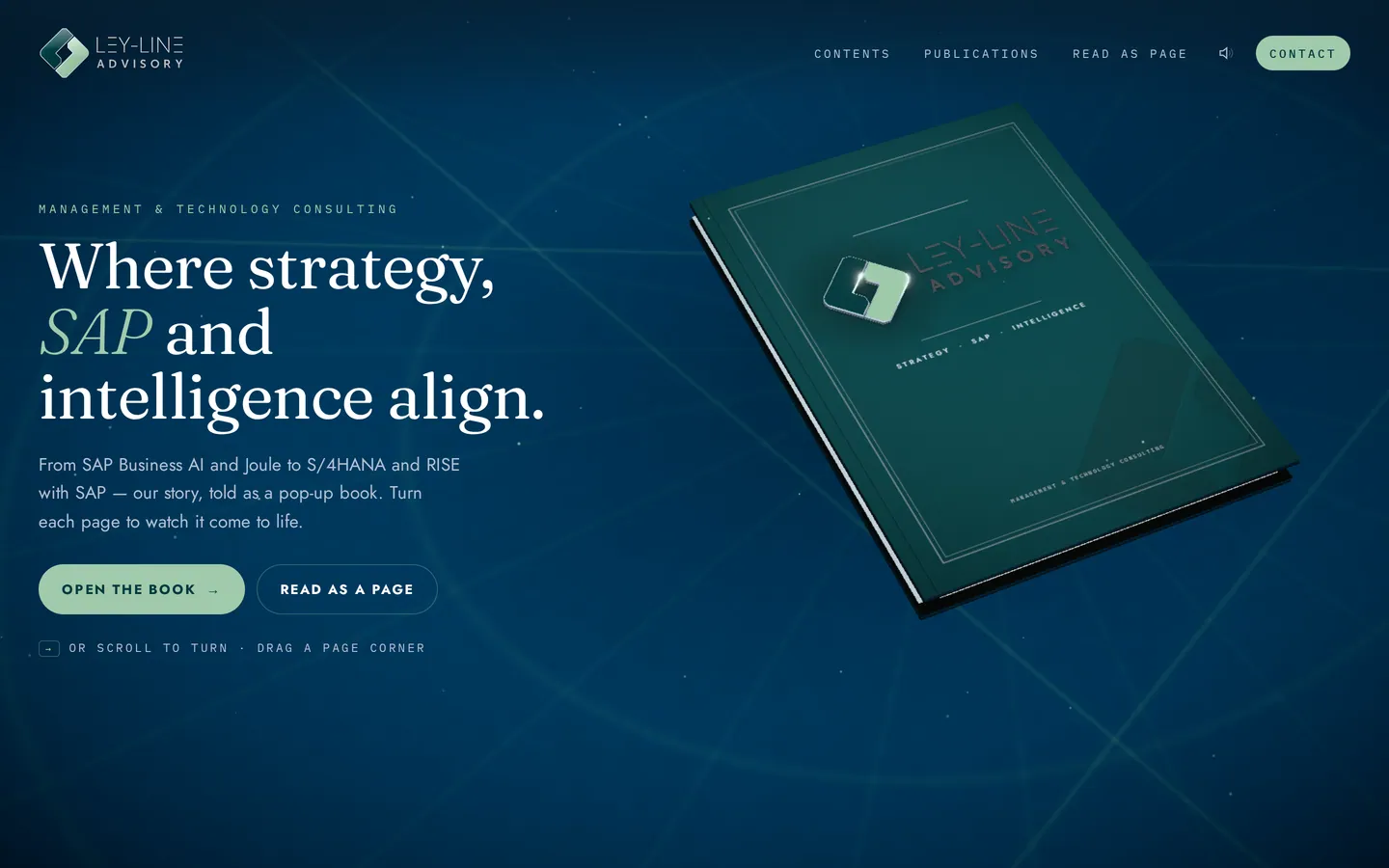 Ley-Line Advisory website, first screen